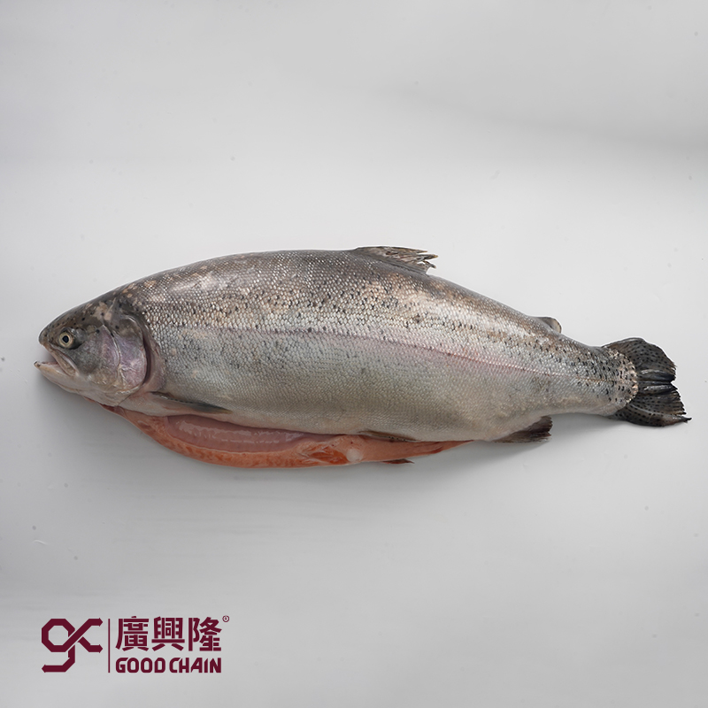 冰鲜三文鱼（国产）加大鱼