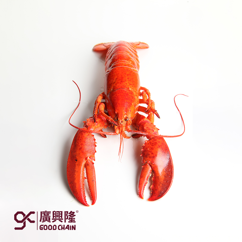 熟波士顿龙虾（350-400）