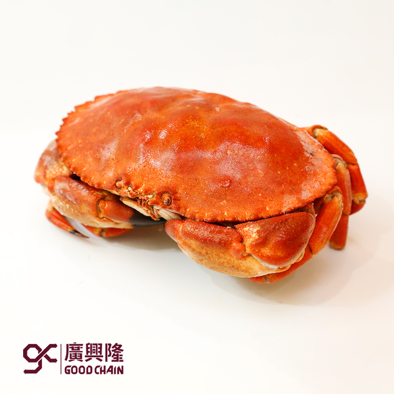 熟冻面包蟹