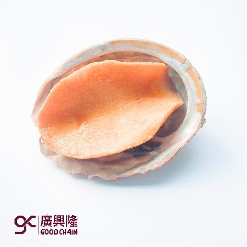南非鲍（带壳）[渔民优选]
