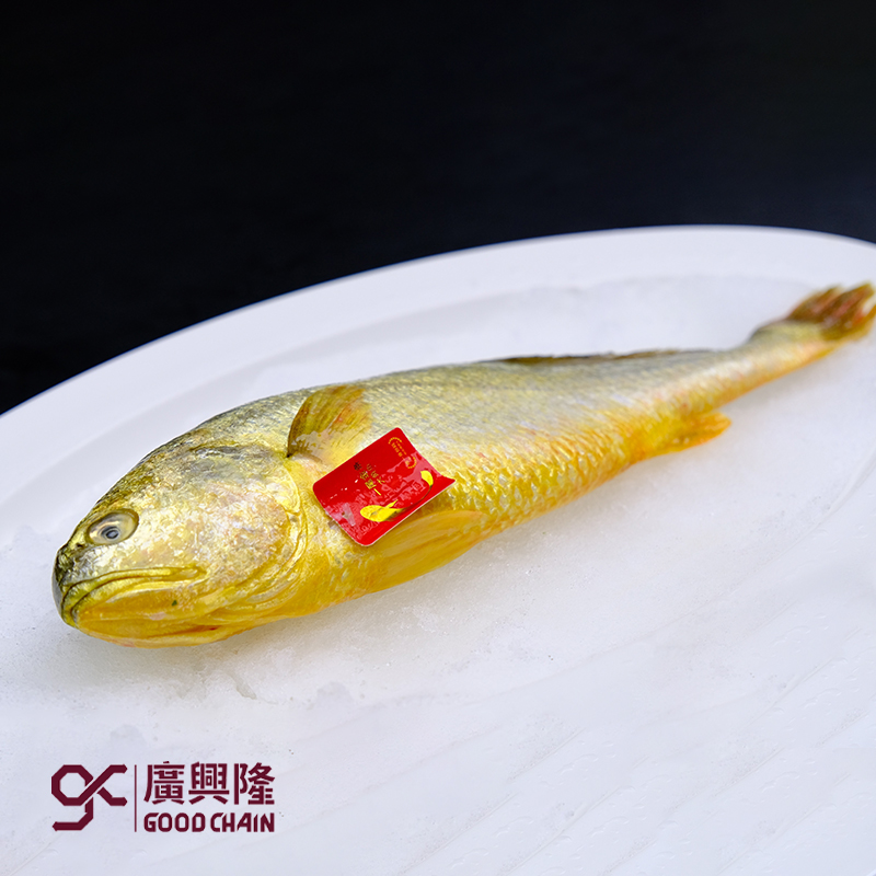 冰鲜大黄鱼（一尾金）
